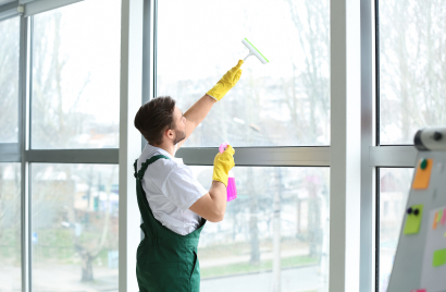 WINDOWS CLEANING