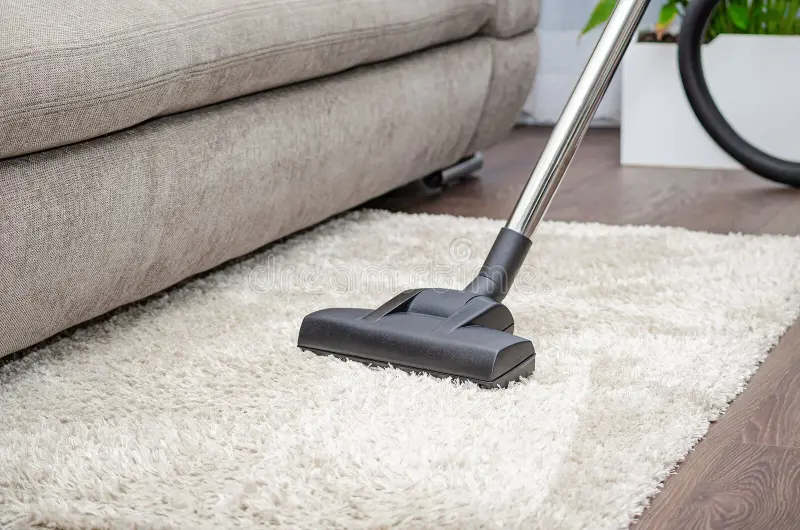 Professional Carpet Cleaning Services: Expert Tips for a Cleaner Home