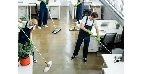 Commercial Cleaning Paekākāriki | Professional Office & Business Cleaning Services